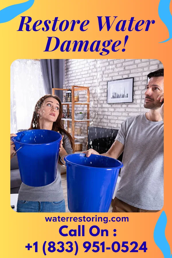 water restoration Rapid Water Repair & Associates Sextonville